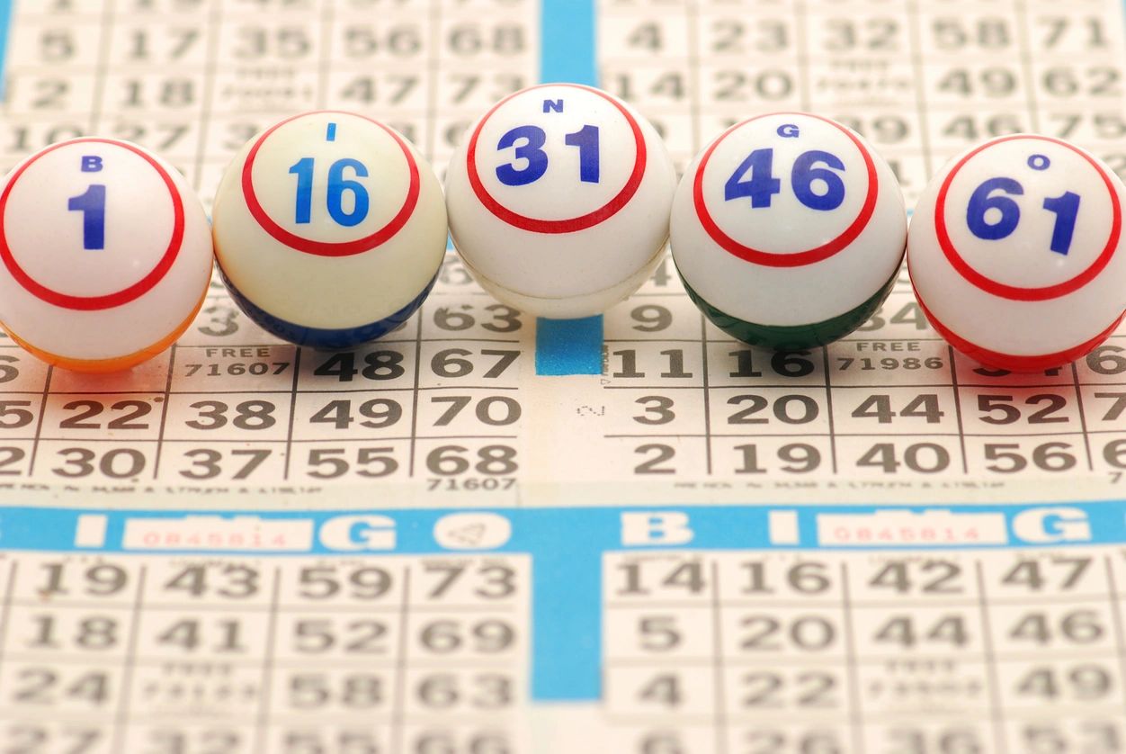 Family Bingo at the Library